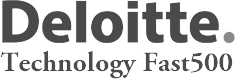 awards-deloitte
